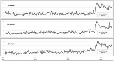 Did the COVID-19 Pandemic Spark a Public Interest in Pet Adoption?